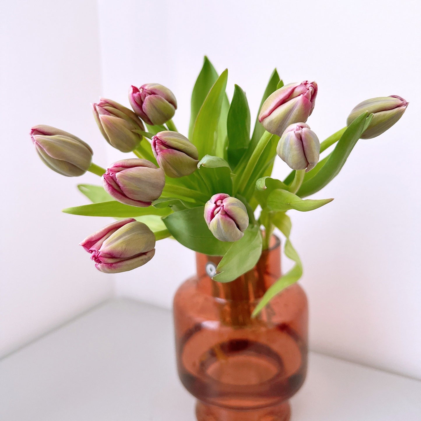 Tulip bouquet