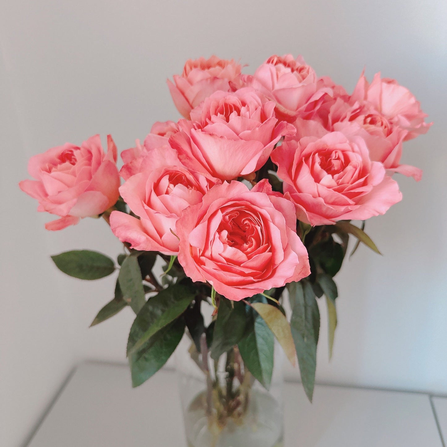 Dragonfly Roses
