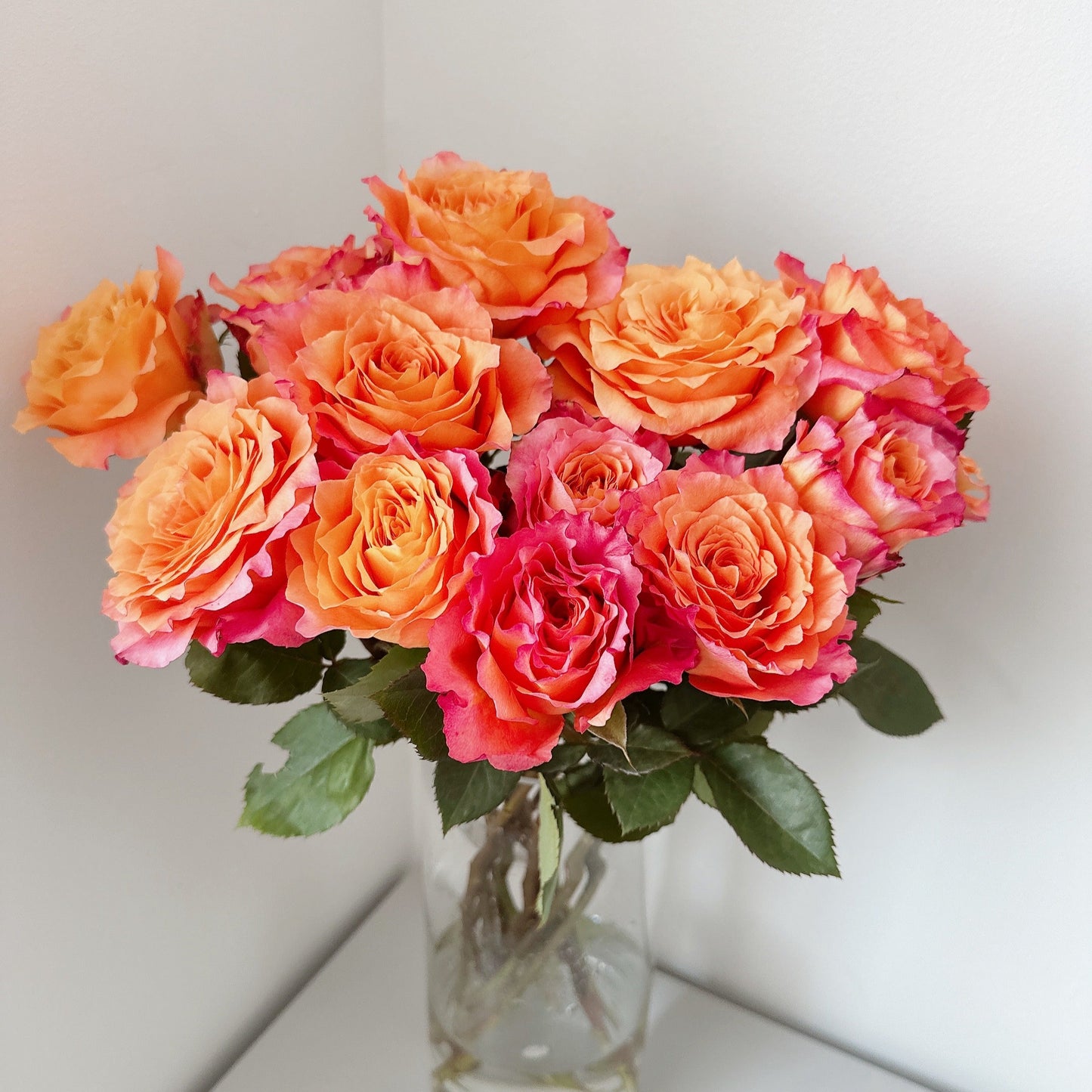 Roses d'esprit libre