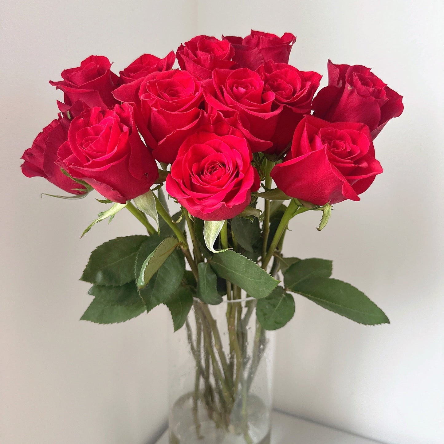Red Roses