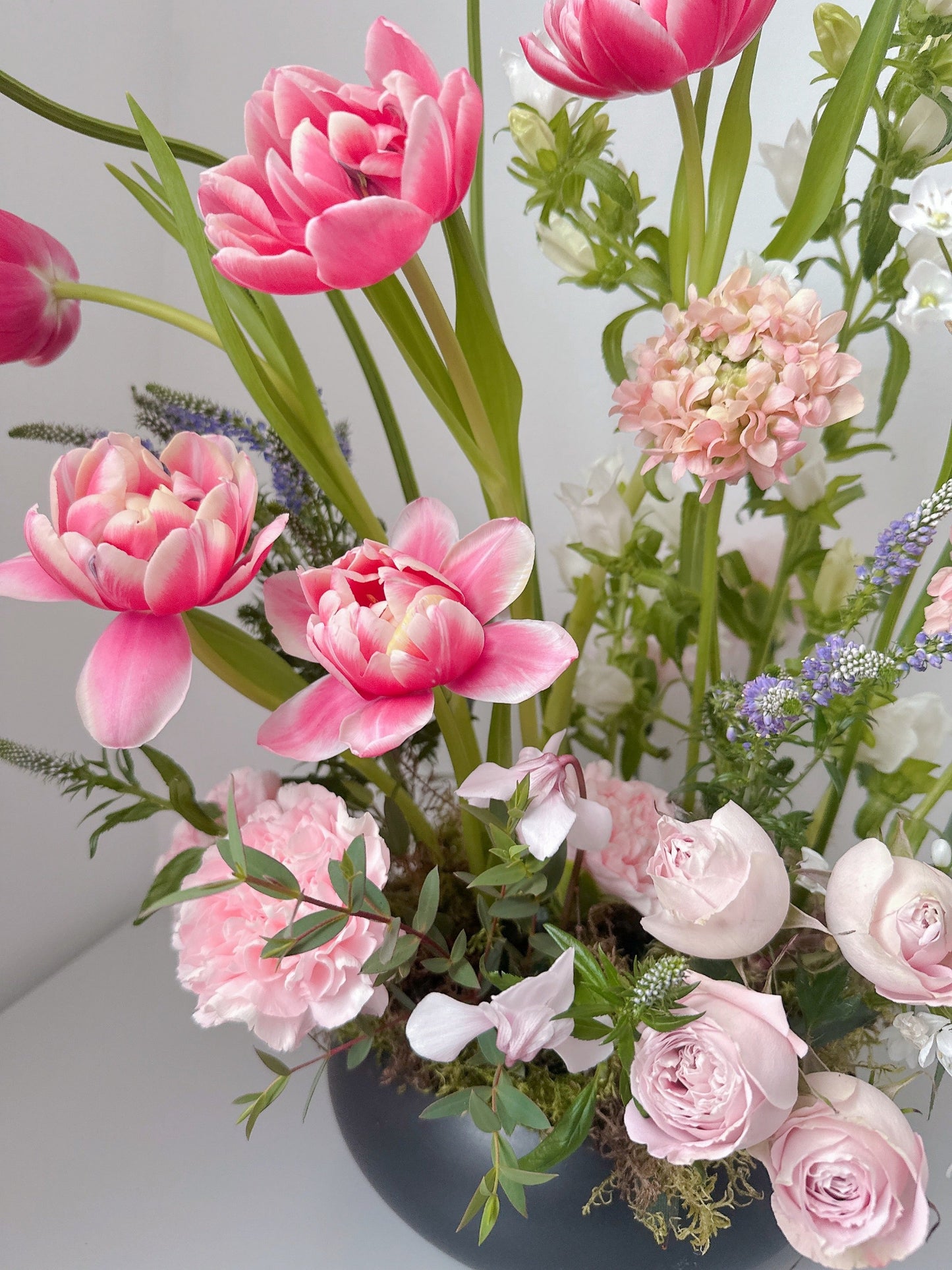 Jardin de Blush