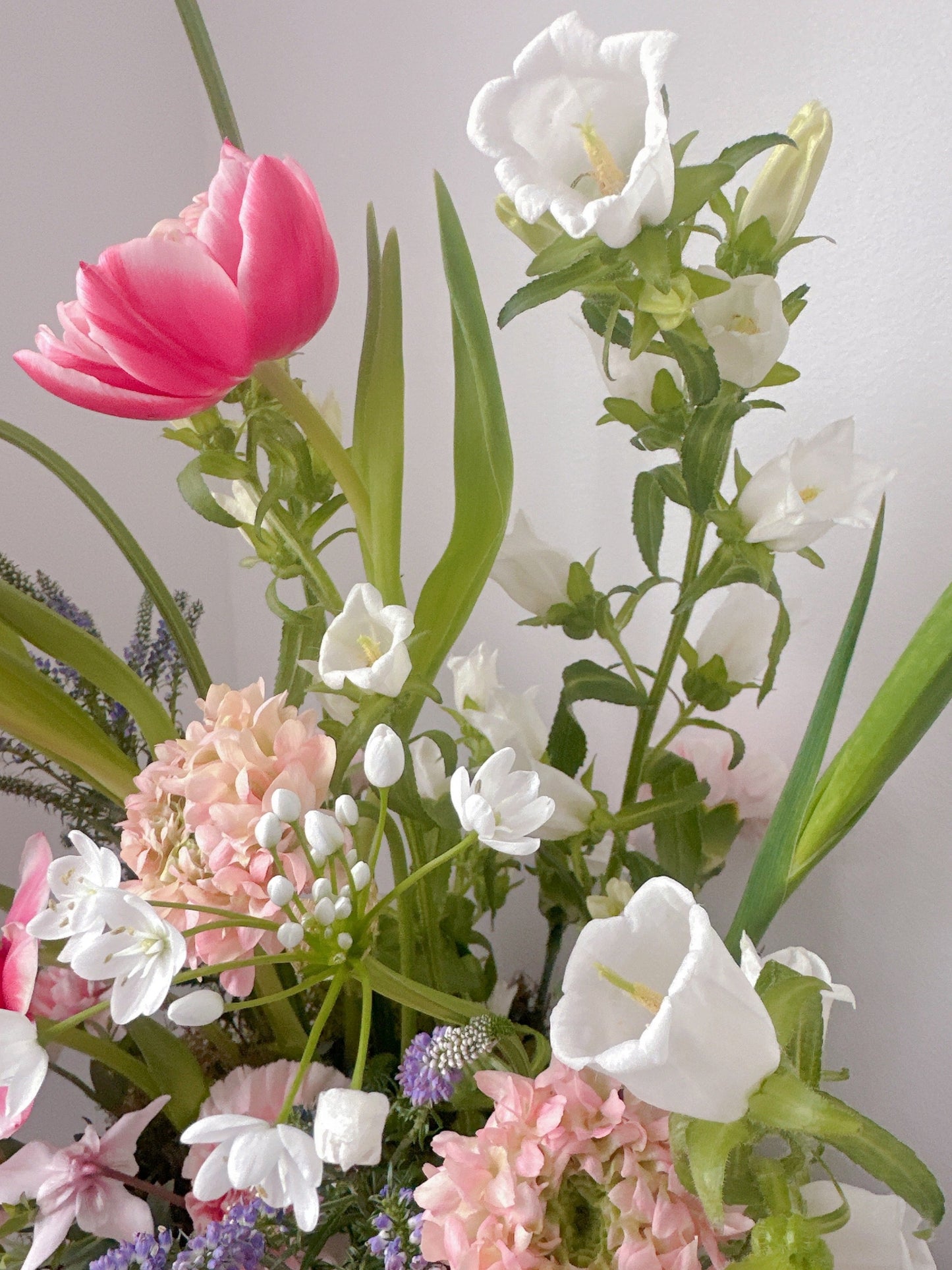Jardin de Blush