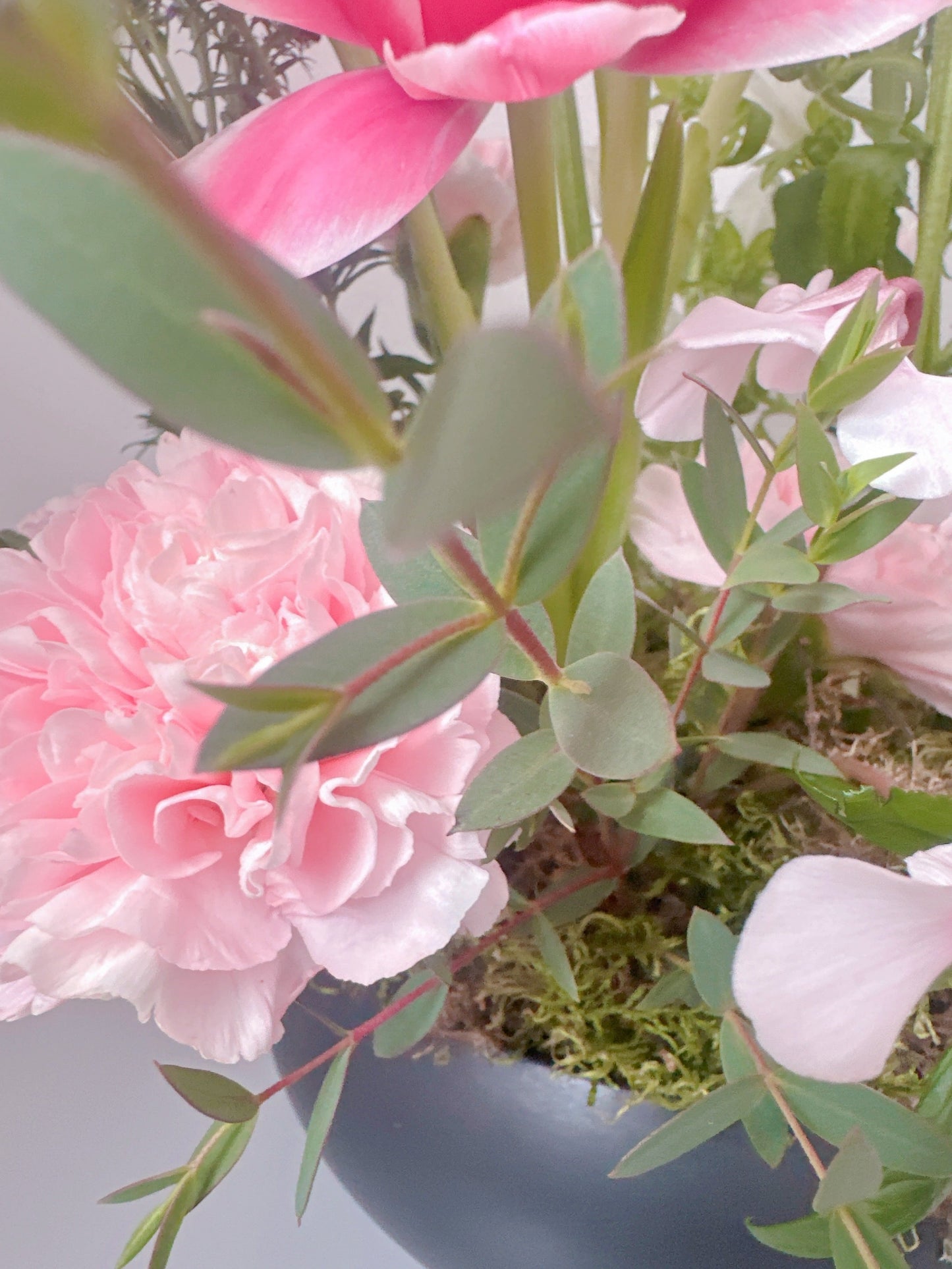 Jardin de Blush