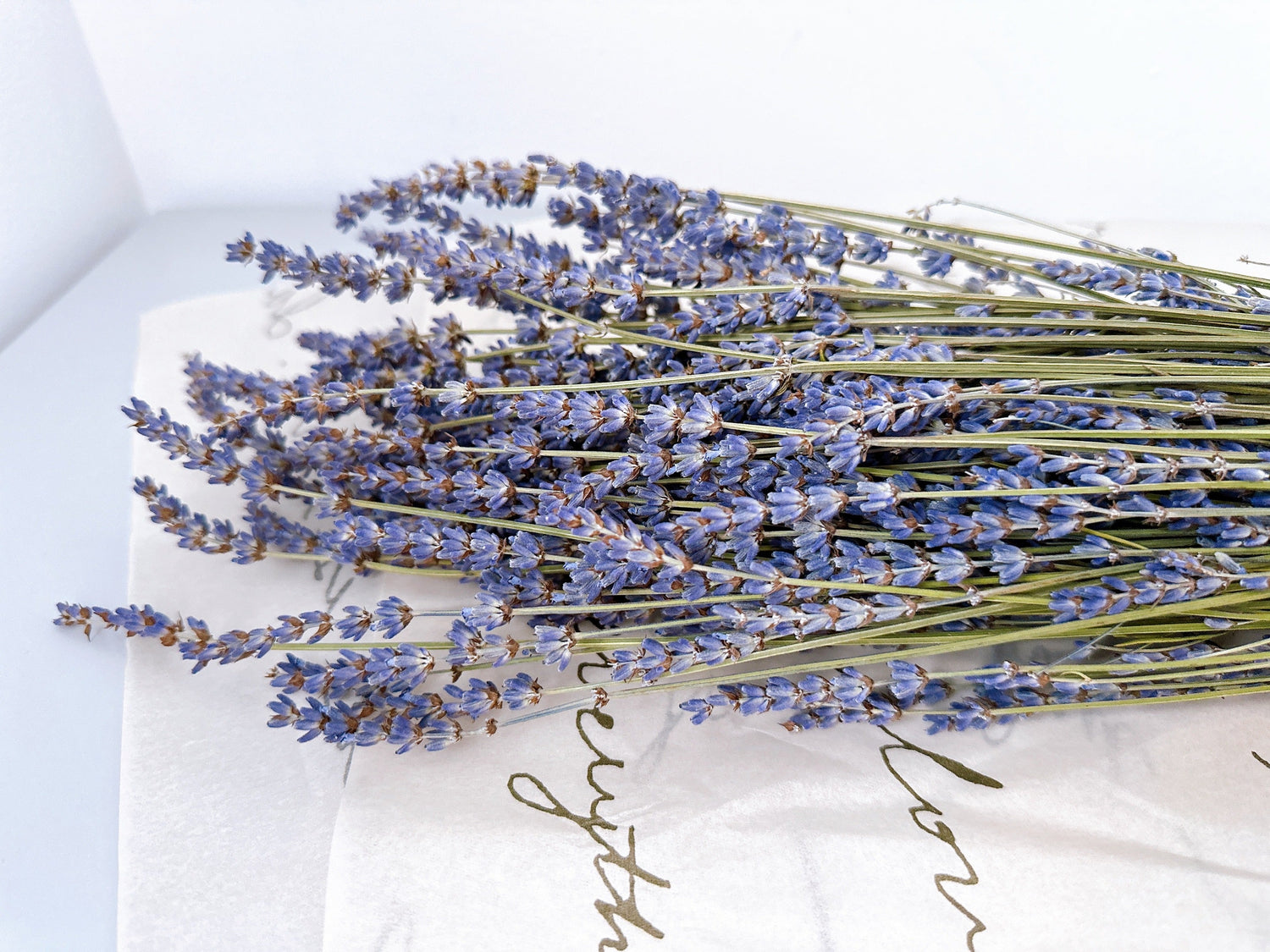 Dried flowers