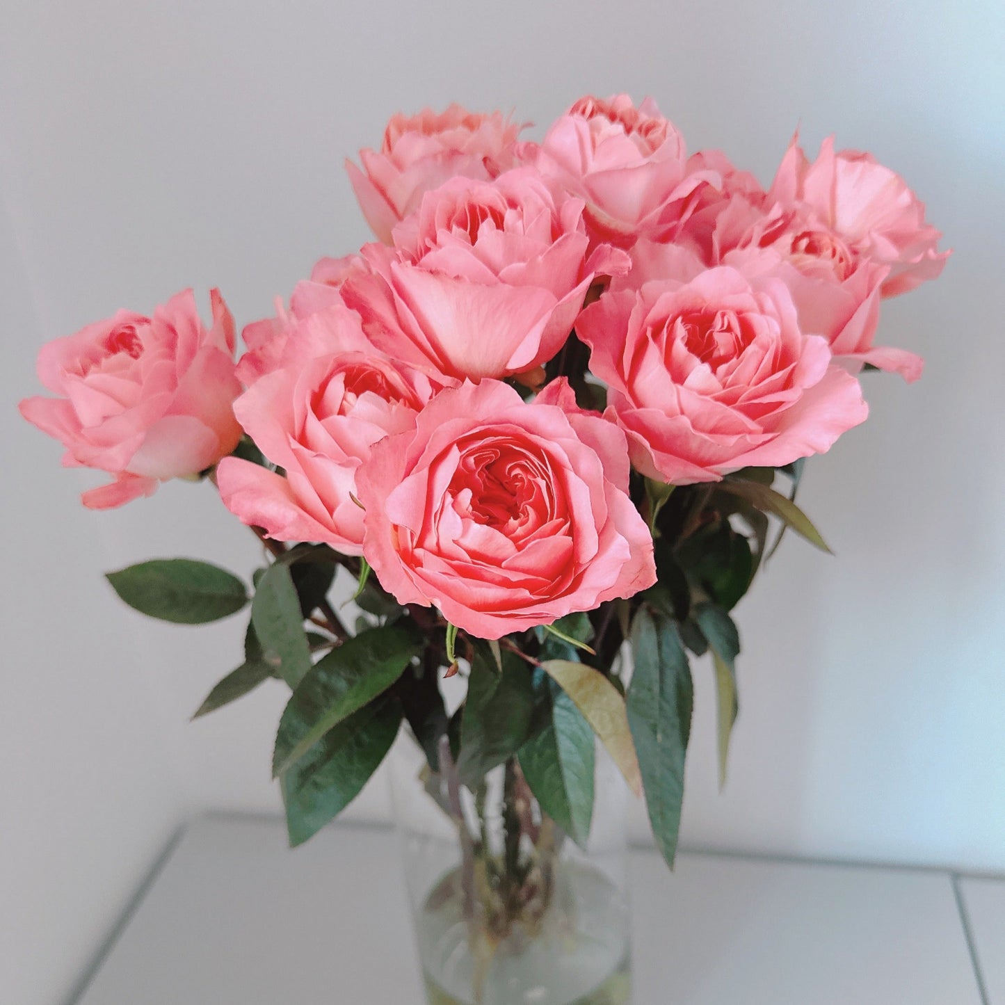 Dragonfly Roses